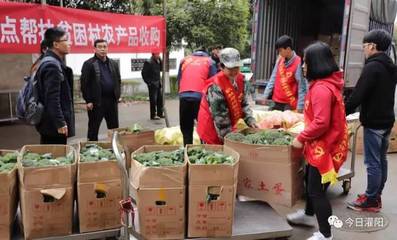 决胜脱贫攻坚 推动乡村振兴——桂林理工大学定点收购灌阳县贫困村农产品